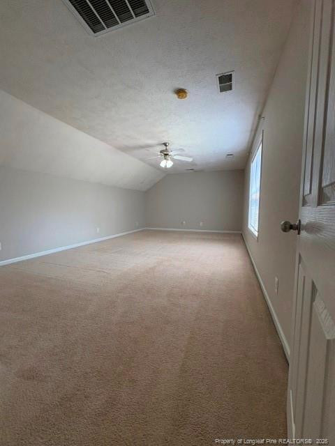48 Old Field Loop Property Photo 33