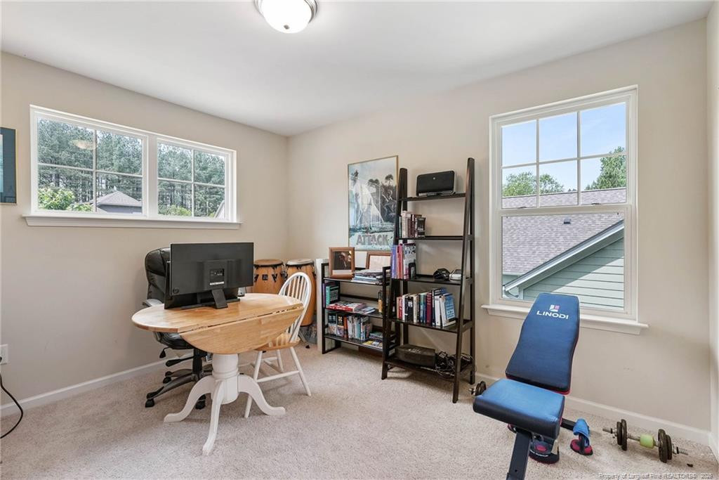 2029 Longmont Drive Property Photo 29