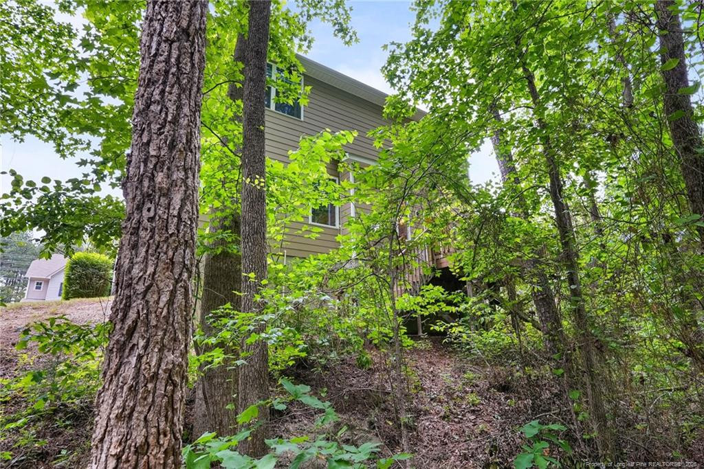 2029 Longmont Drive Property Photo 48