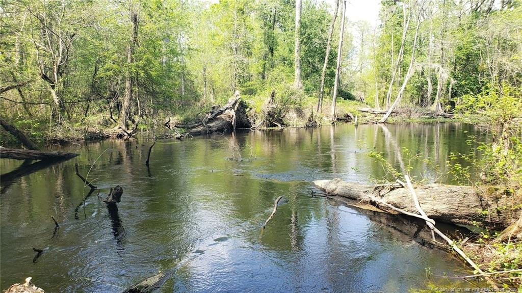 52 Acres River Access Property Photo 6