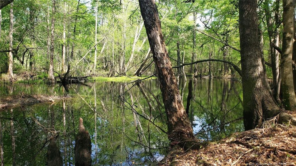 52 Acres River Access Property Photo 7