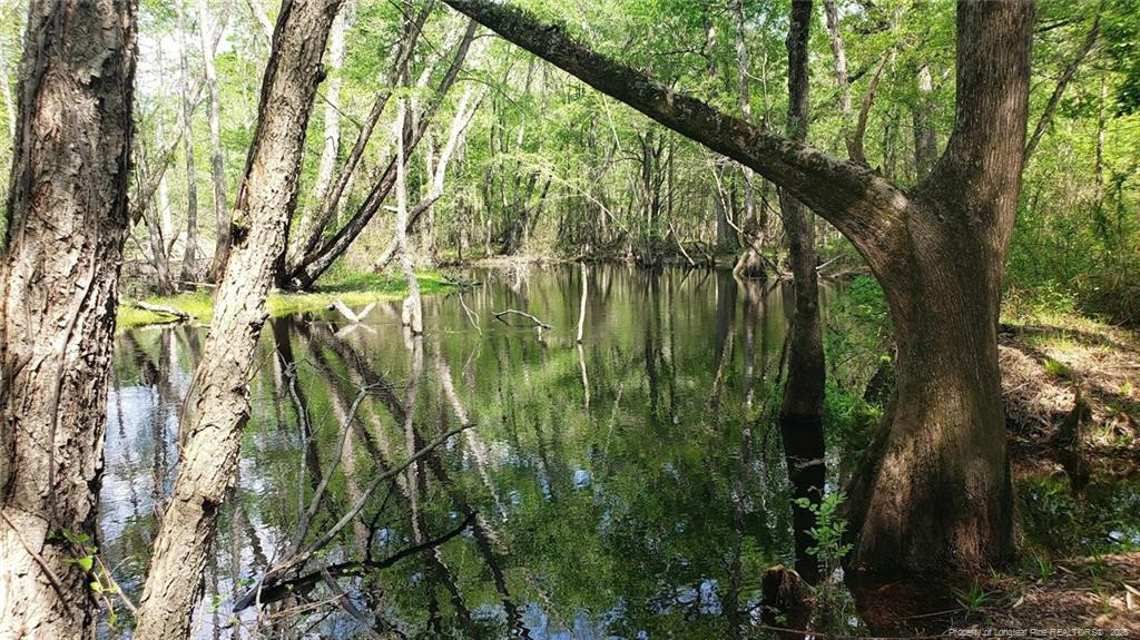 52 Acres River Access Property Photo 8