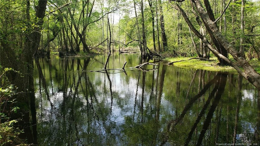 52 Acres River Access Property Photo 9