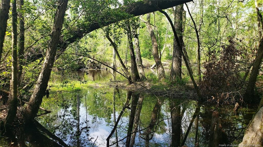 52 Acres River Access Property Photo 10