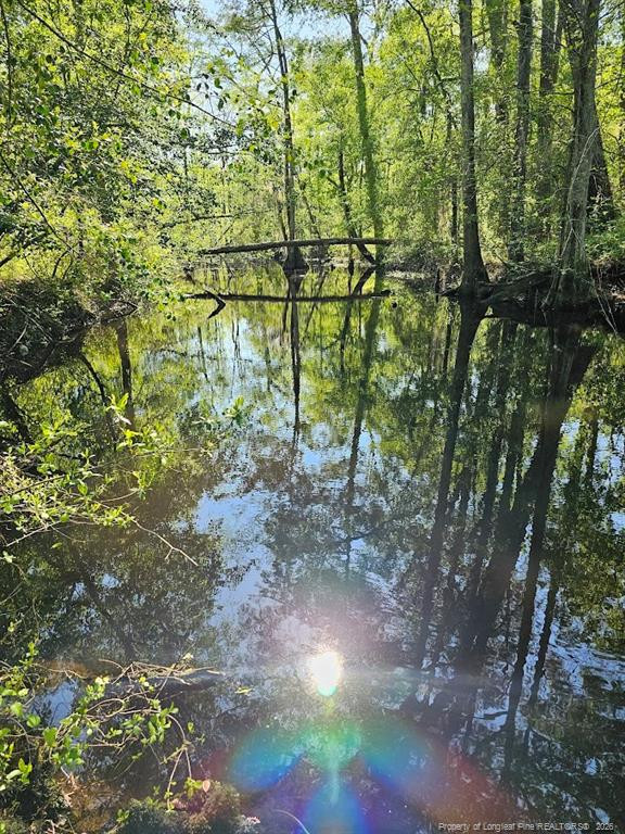 52 Acres River Access Property Photo 11