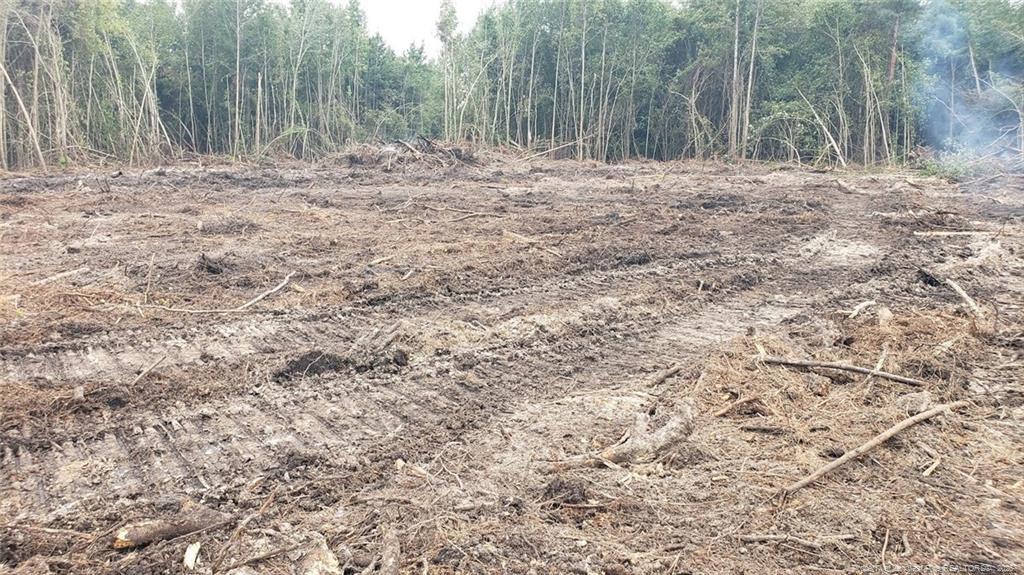52 Acres River Access Property Photo 13