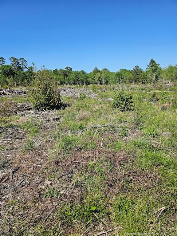52 Acres River Access Property Photo 14