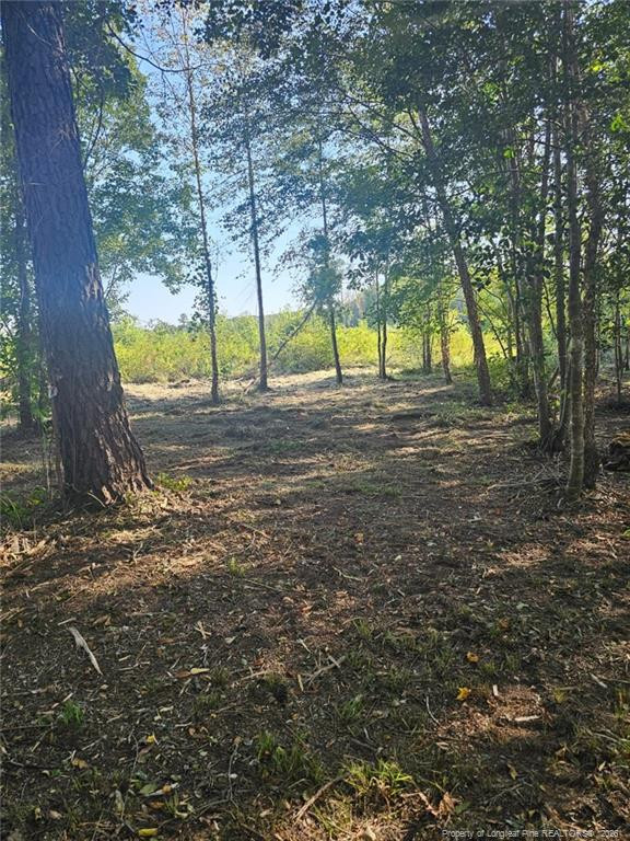 52 Acres River Access Property Photo 16