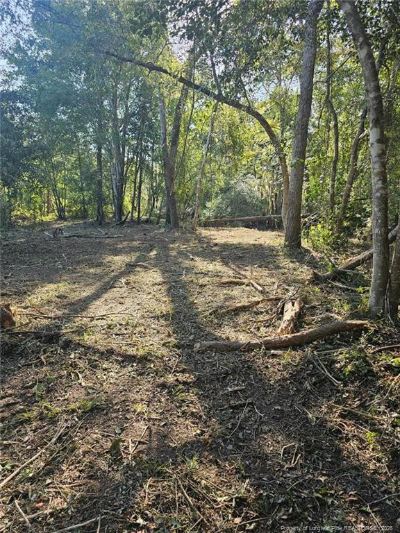52 Acres River Access Property Photo 17