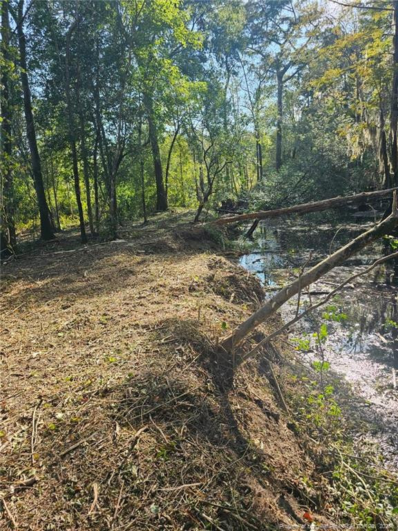 52 Acres River Access Property Photo 18