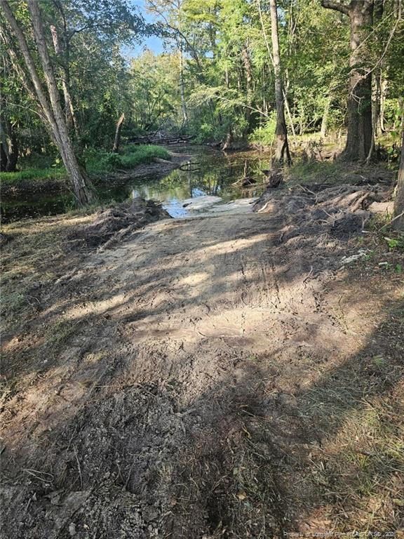 52 Acres River Access Property Photo 19