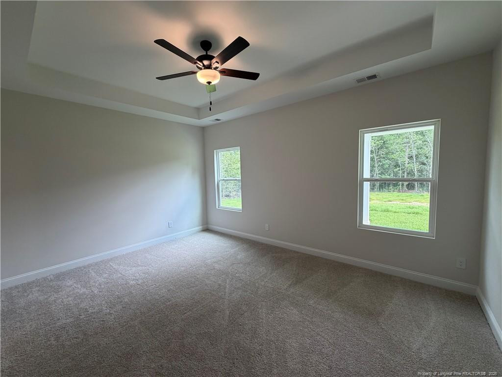 89 Omie Branch Lane Property Photo 9
