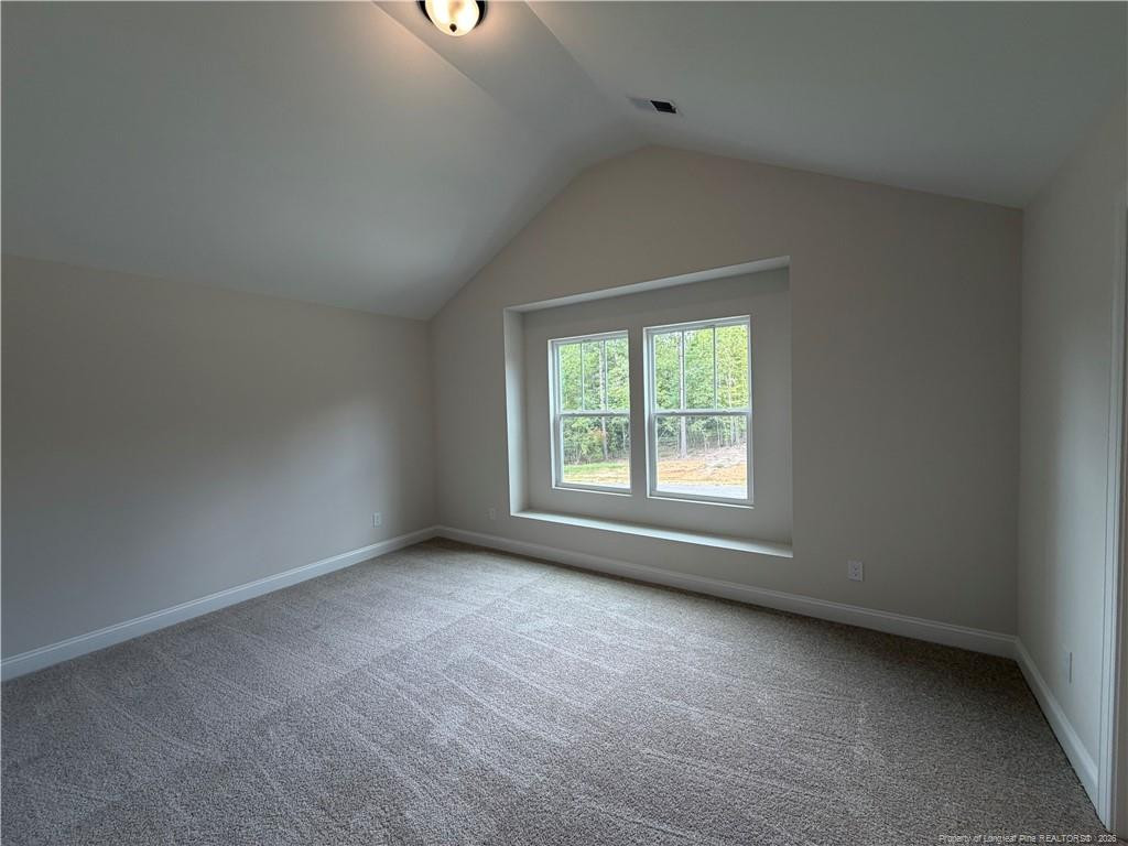 89 Omie Branch Lane Property Photo 19