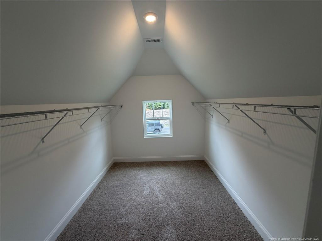 89 Omie Branch Lane Property Photo 21