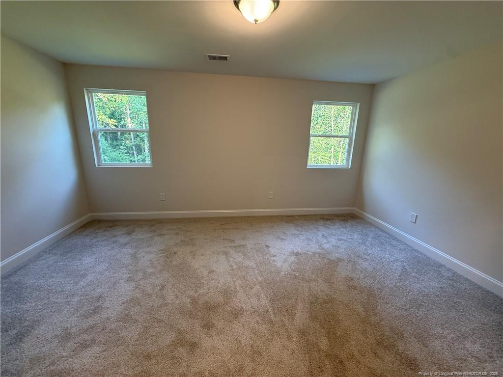 517 Grand Griffon Way Property Photo 14