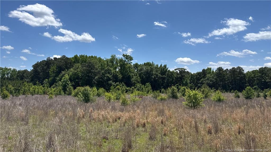 Snipes Road Property Photo 1