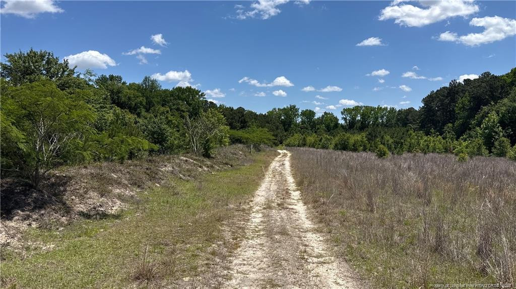 Snipes Road Property Photo 2