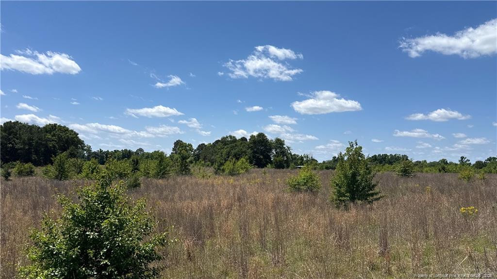 Snipes Road Property Photo 3