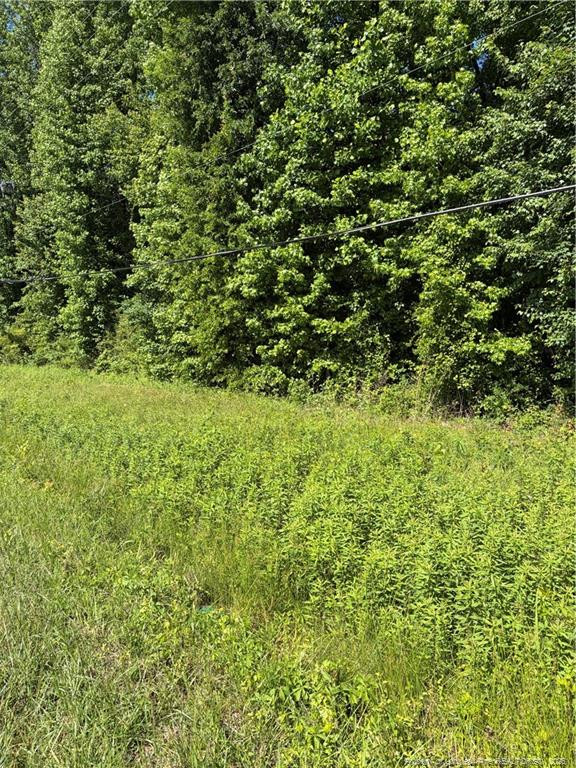 Lemon Springs Road Property Photo 1