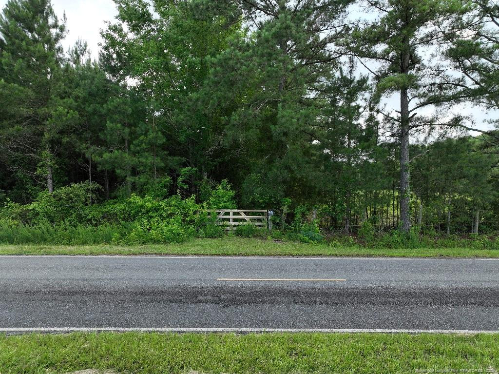 8125 Carlos Road Property Photo 1