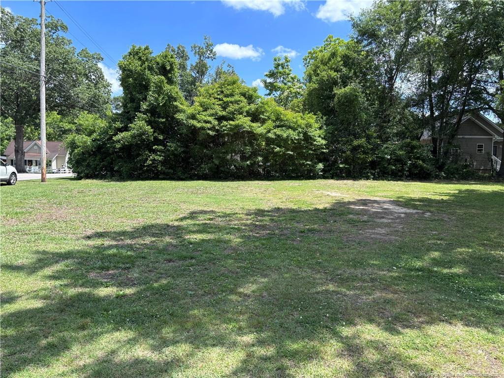 162 Coleman Street Property Photo 1