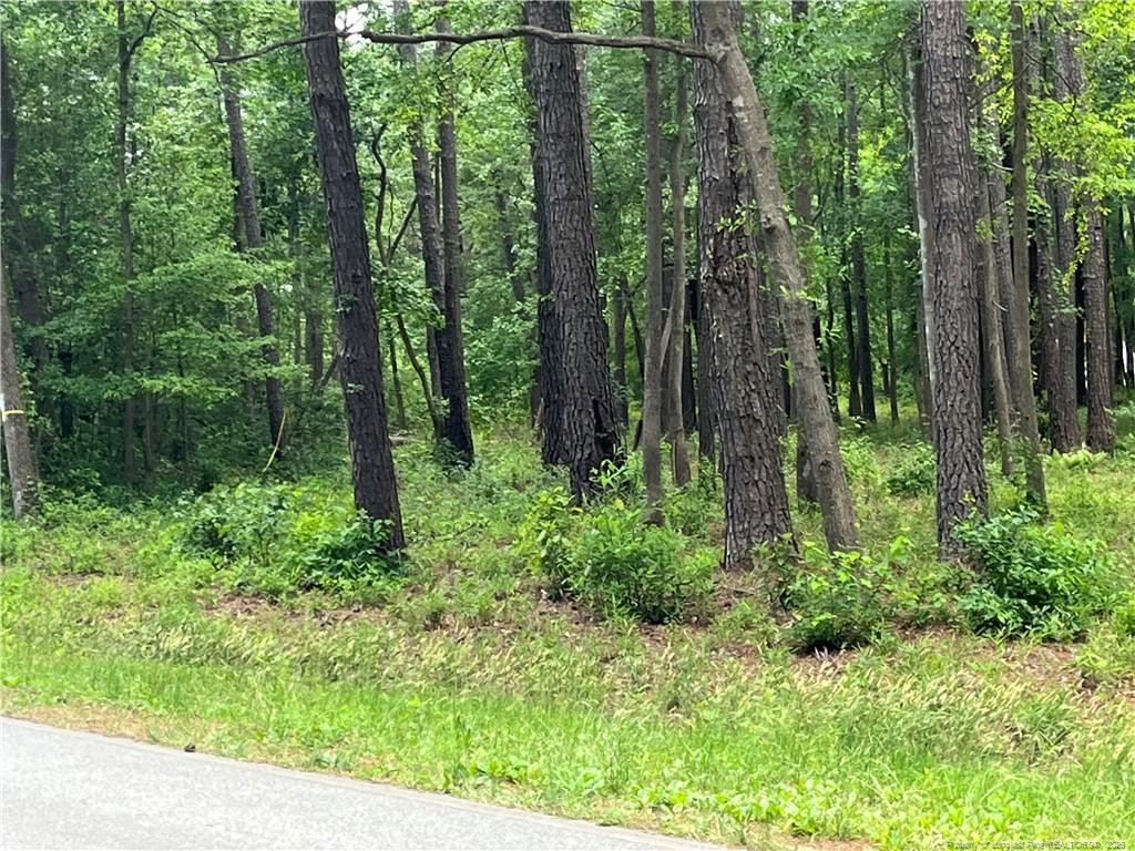 0 Bryant Circle Property Photo 3