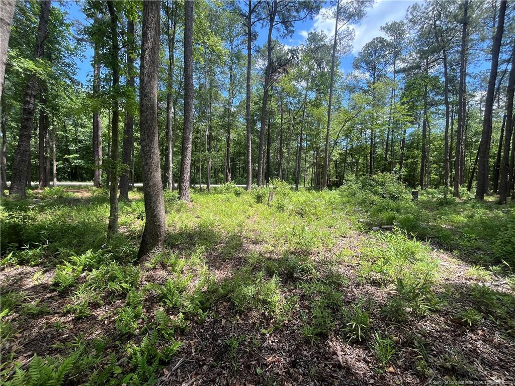 0 Bryant Circle Property Photo 4