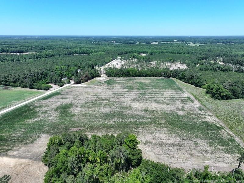 Sand Rock Road Property Photo 4