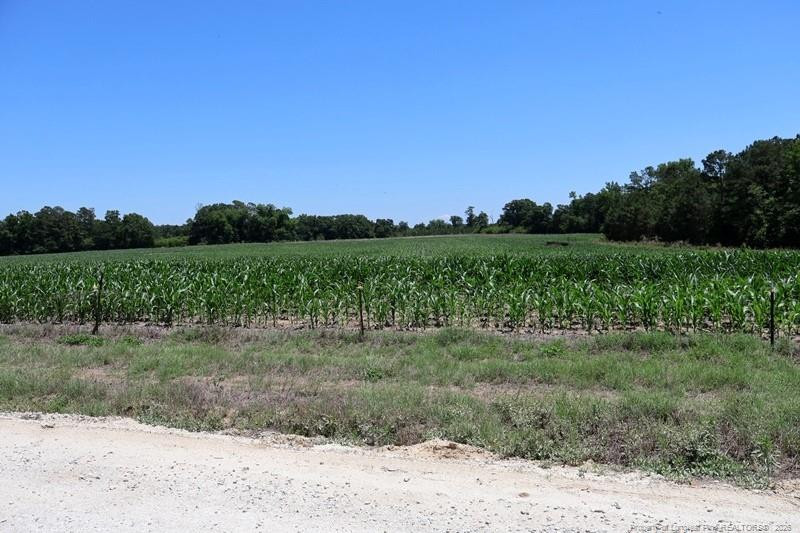 Sand Rock Road Property Photo 10