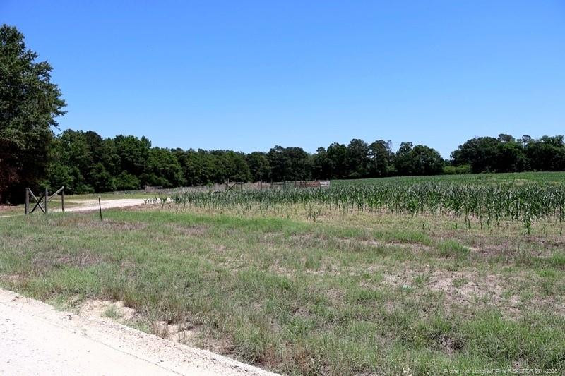Sand Rock Road Property Photo 13