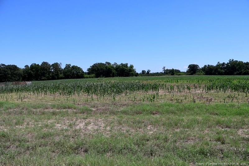 Sand Rock Road Property Photo 14