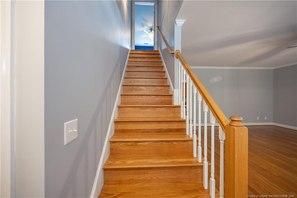 294 Pinecroft Drive Property Photo 24