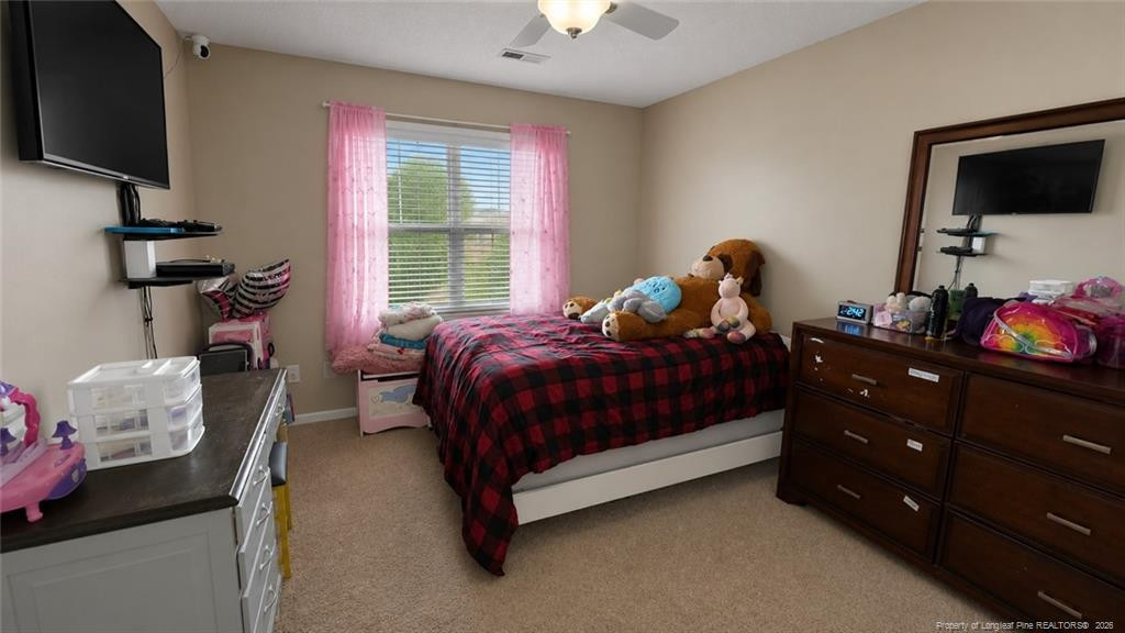 56 Mountain View Drive Property Photo 16