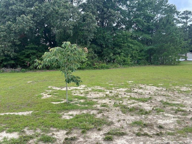 542 Red Oak Farm Road Property Photo 30