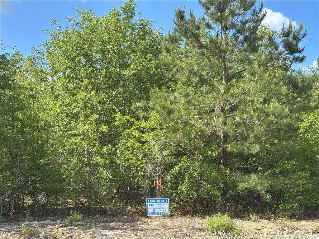 Johnson - (lot N) Road Property Photo 1
