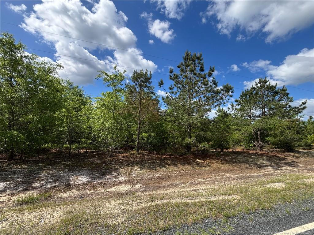 Johnson - (lot N) Road Property Photo 2