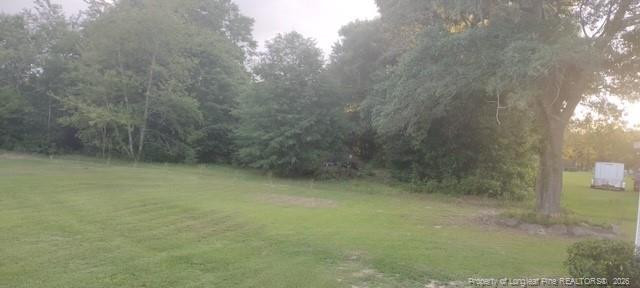 1278 Minter School Road Property Photo 21