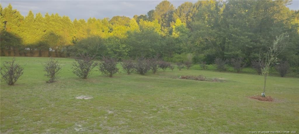 1278 Minter School Road Property Photo 22