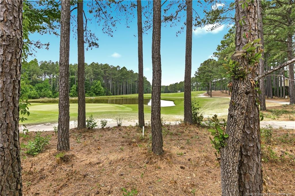 82 Pine Hawk Drive Property Photo 47