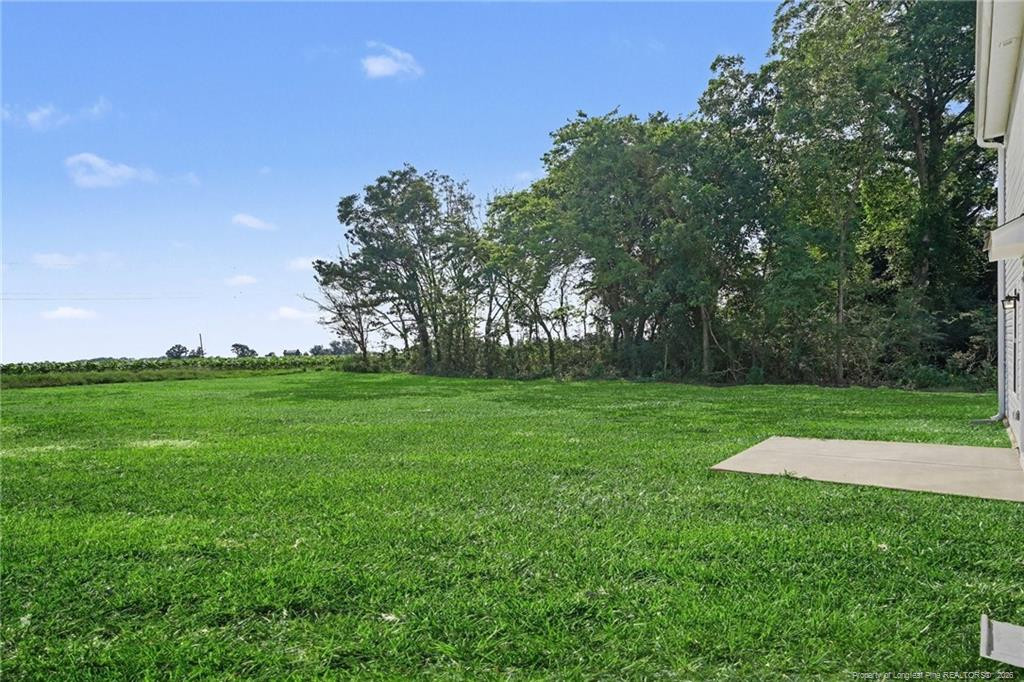 207 Baxley Drive Property Photo 25