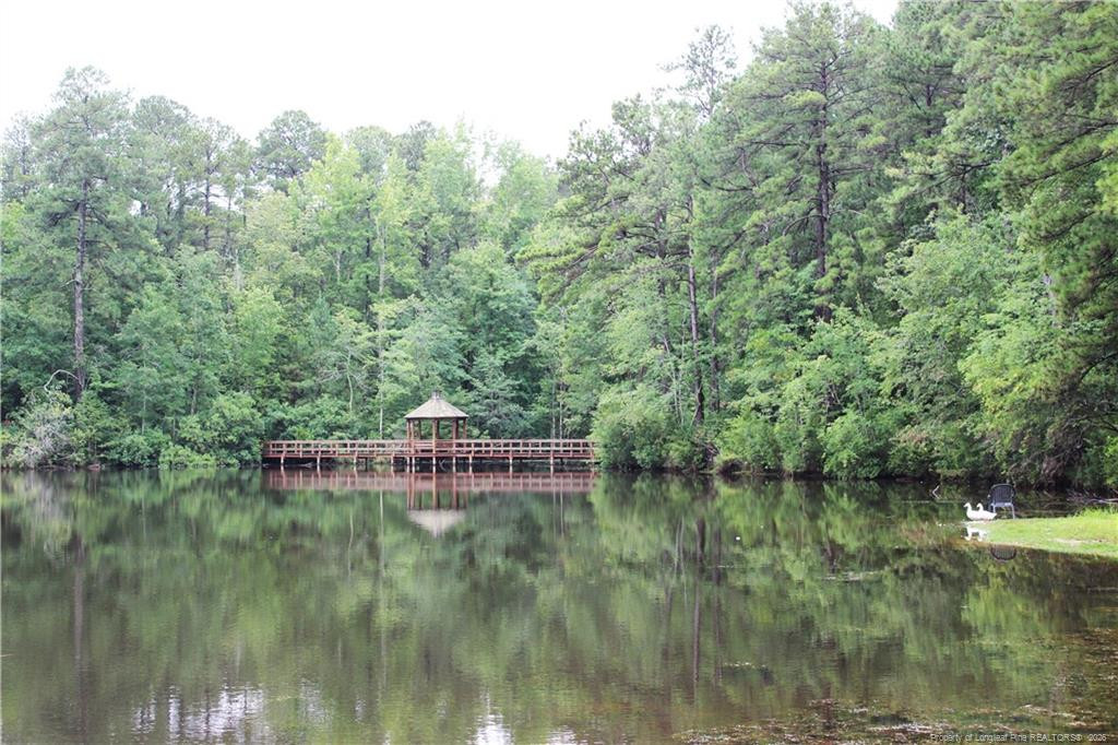 105 Shining Water Lane Property Photo 30
