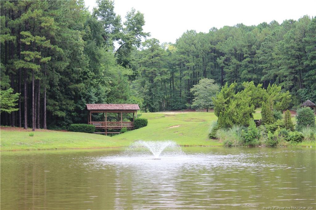 105 Shining Water Lane Property Photo 33