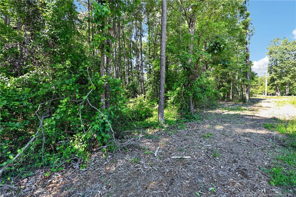 0 Fred Stone Road Property Photo 6
