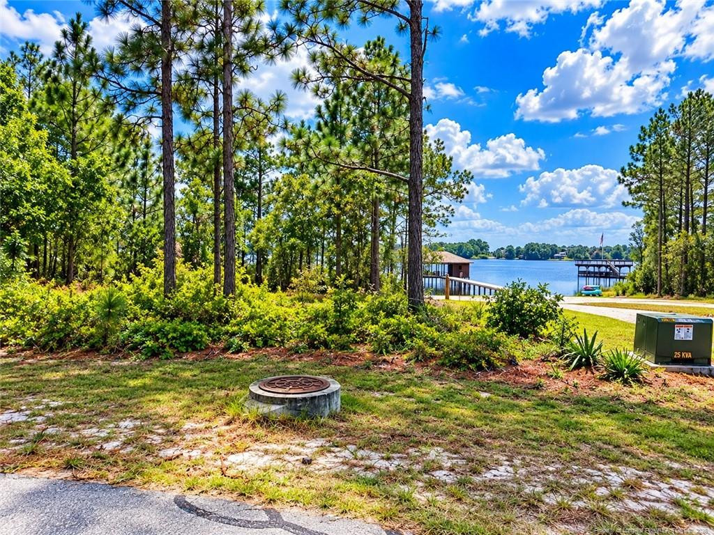 Lot#510 N Horsepen Road Property Photo 6