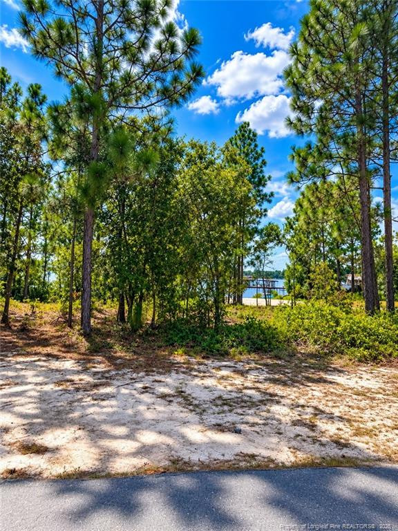 Lot#510 N Horsepen Road Property Photo 7
