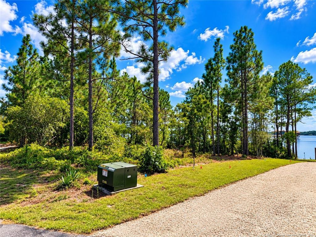 Lot#510 N Horsepen Road Property Photo 8