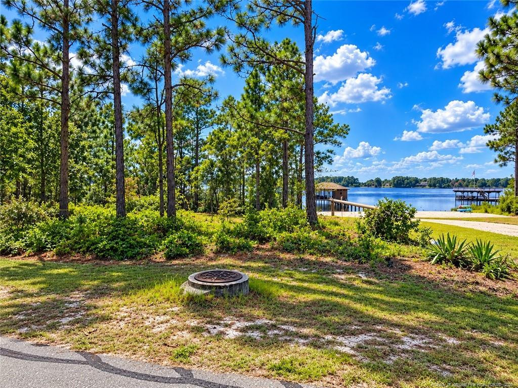 Lot#510 N Horsepen Road Property Photo 9