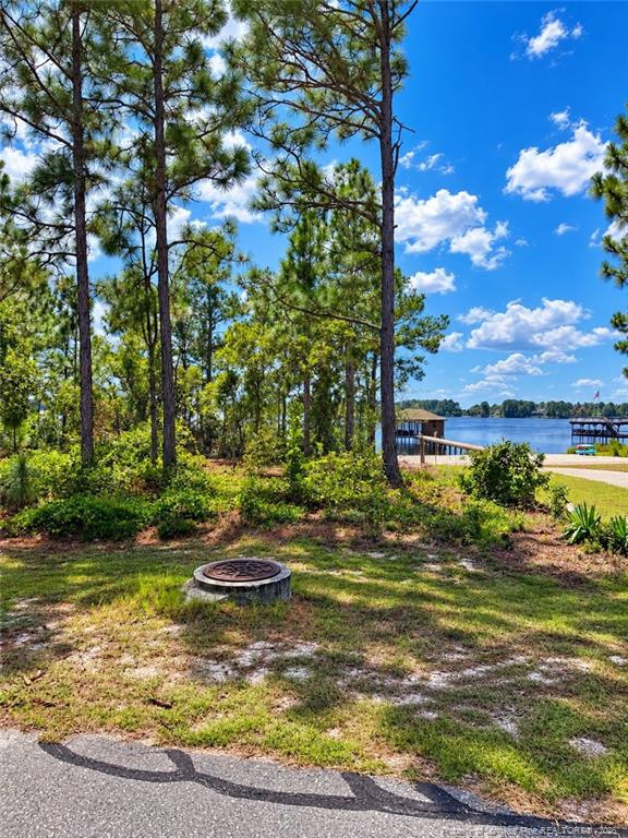 Lot#510 N Horsepen Road Property Photo 10