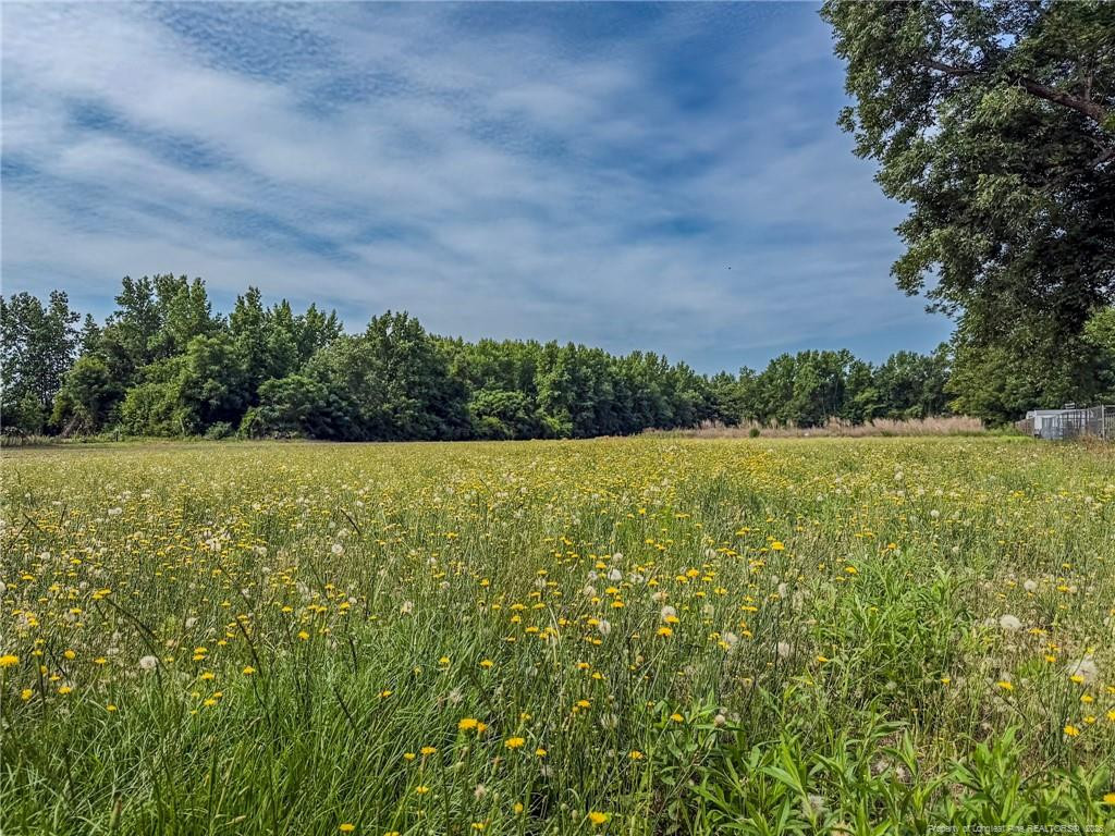 63 Newton Road Property Photo 2