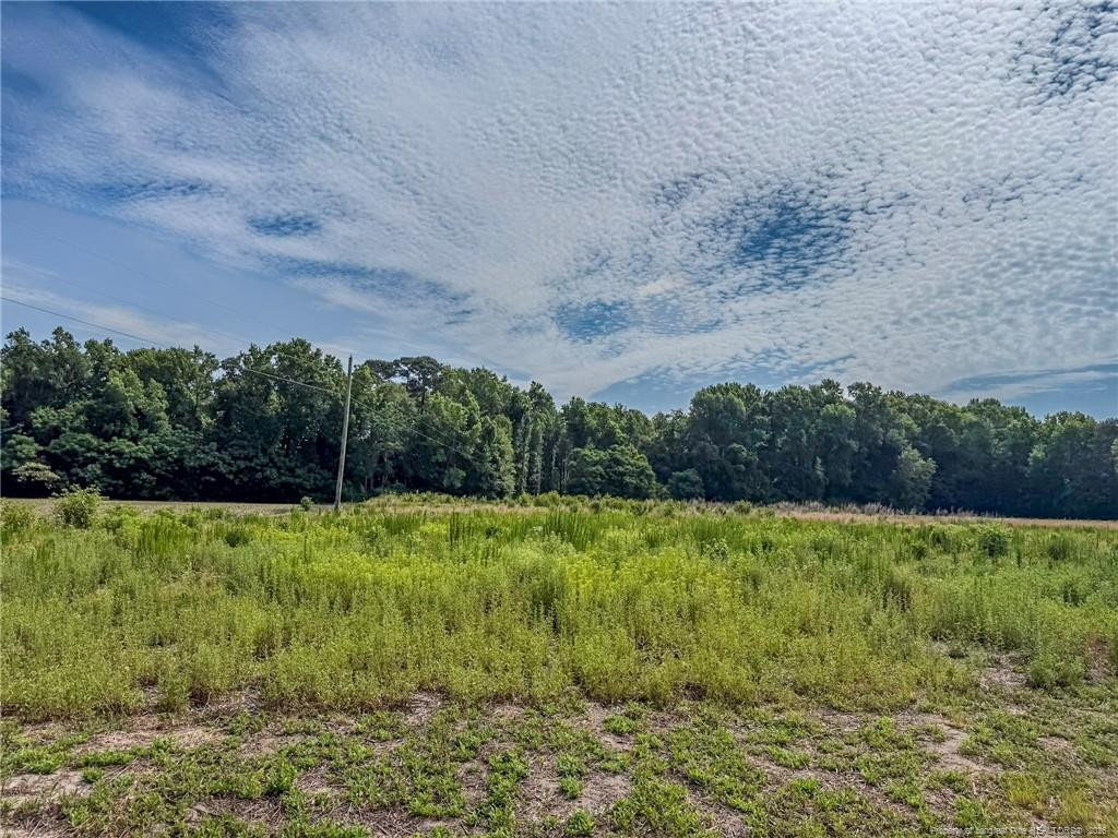 63 Newton Road Property Photo 3